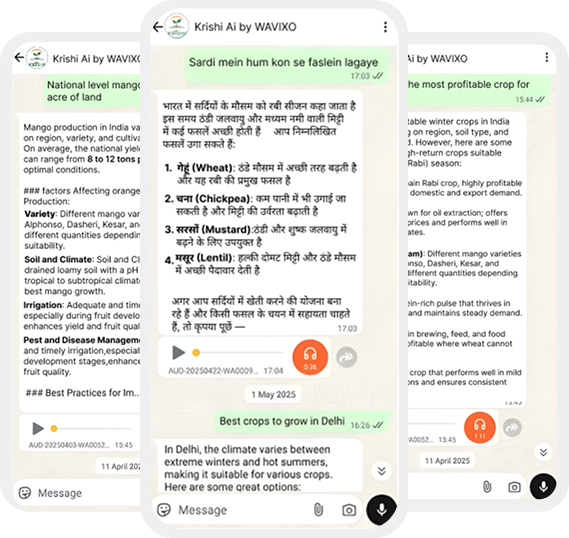 AI WhatsApp Chatbot